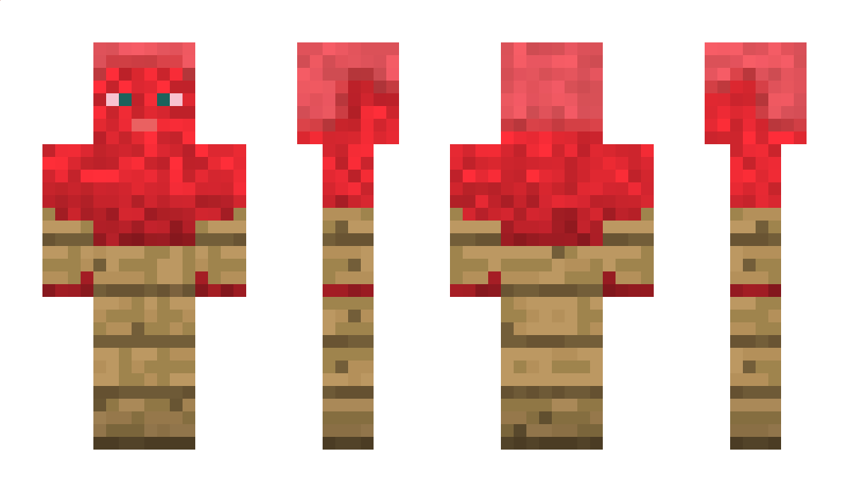 minceraft Minecraft Skin