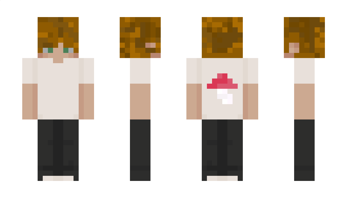 xy_Vexus Minecraft Skin