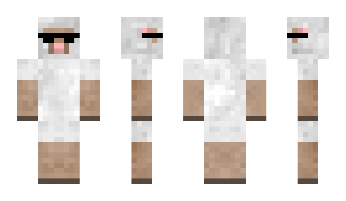 0pi Minecraft Skin