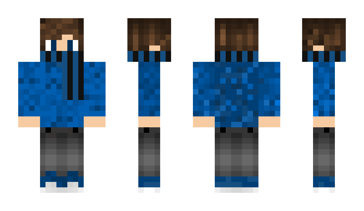 Petrischale Minecraft Skin