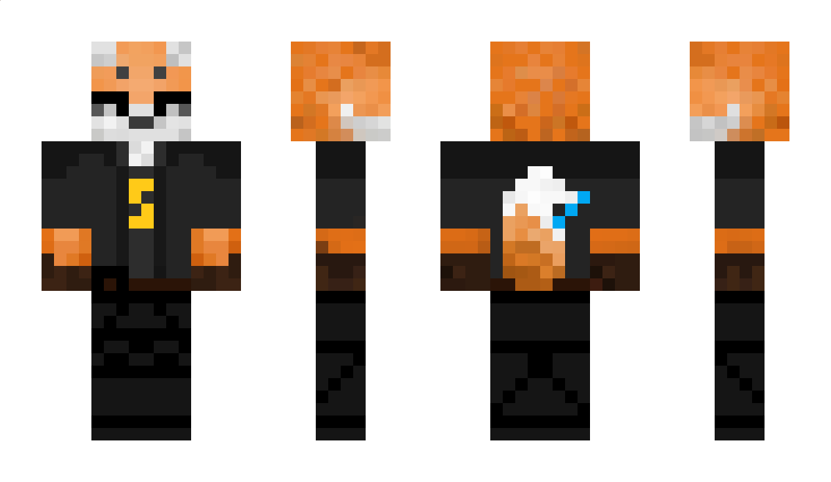 Hols Minecraft Skin