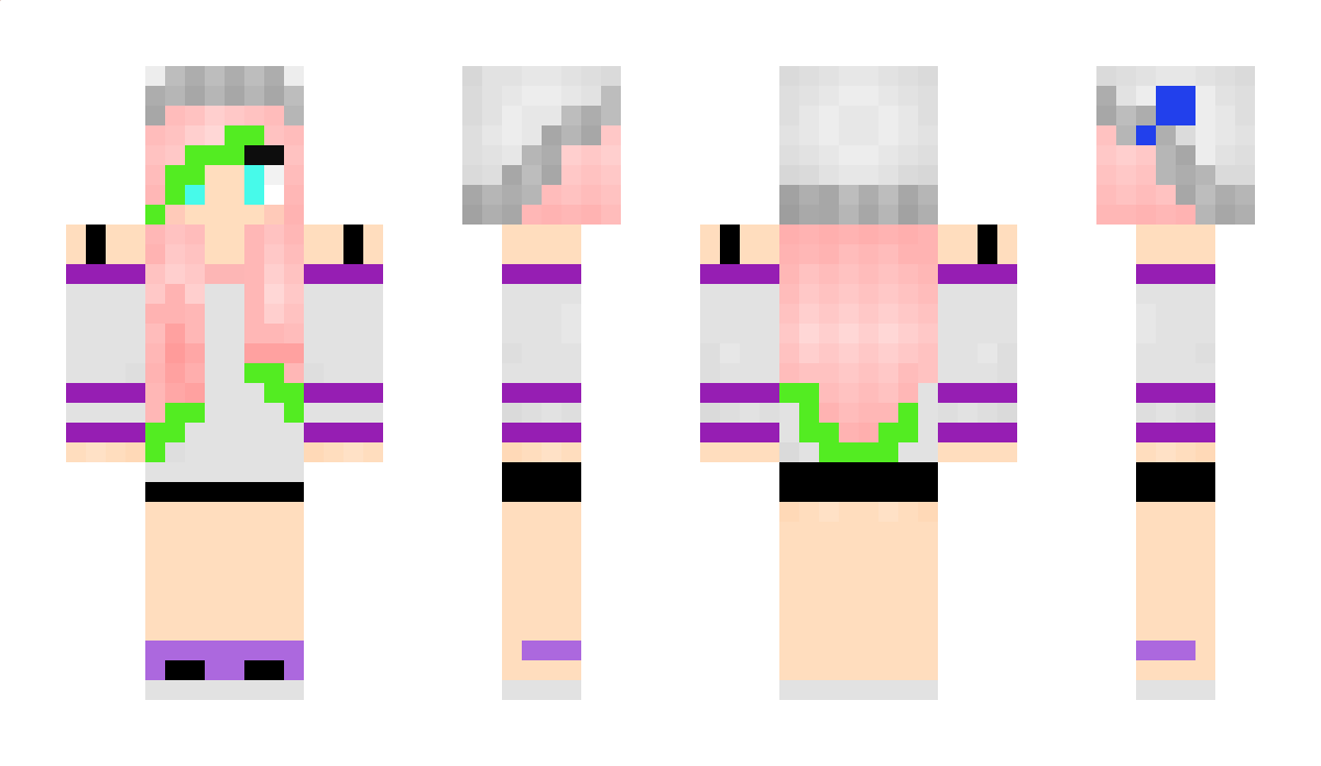 beelion Minecraft Skin