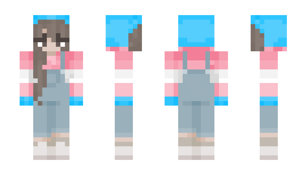 TransDeveloper Minecraft Skin