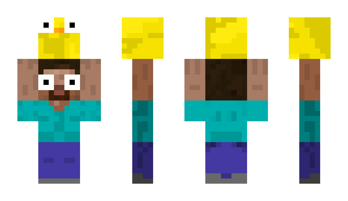 Timu Minecraft Skin