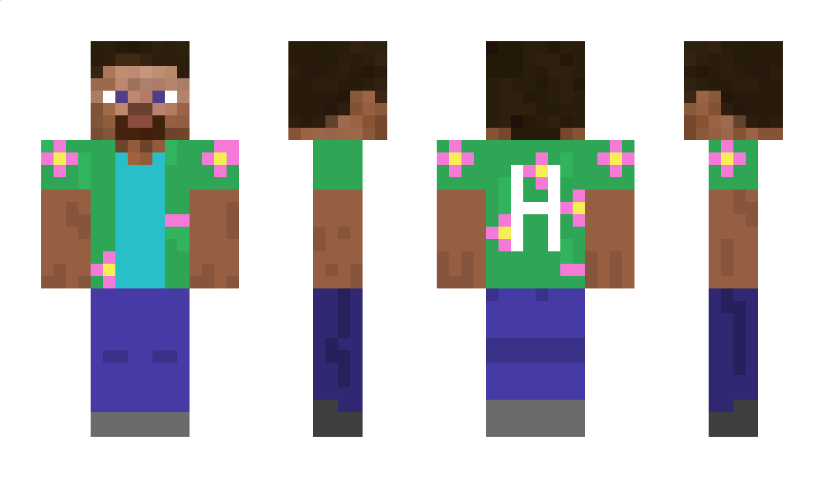 Heroprine Minecraft Skin