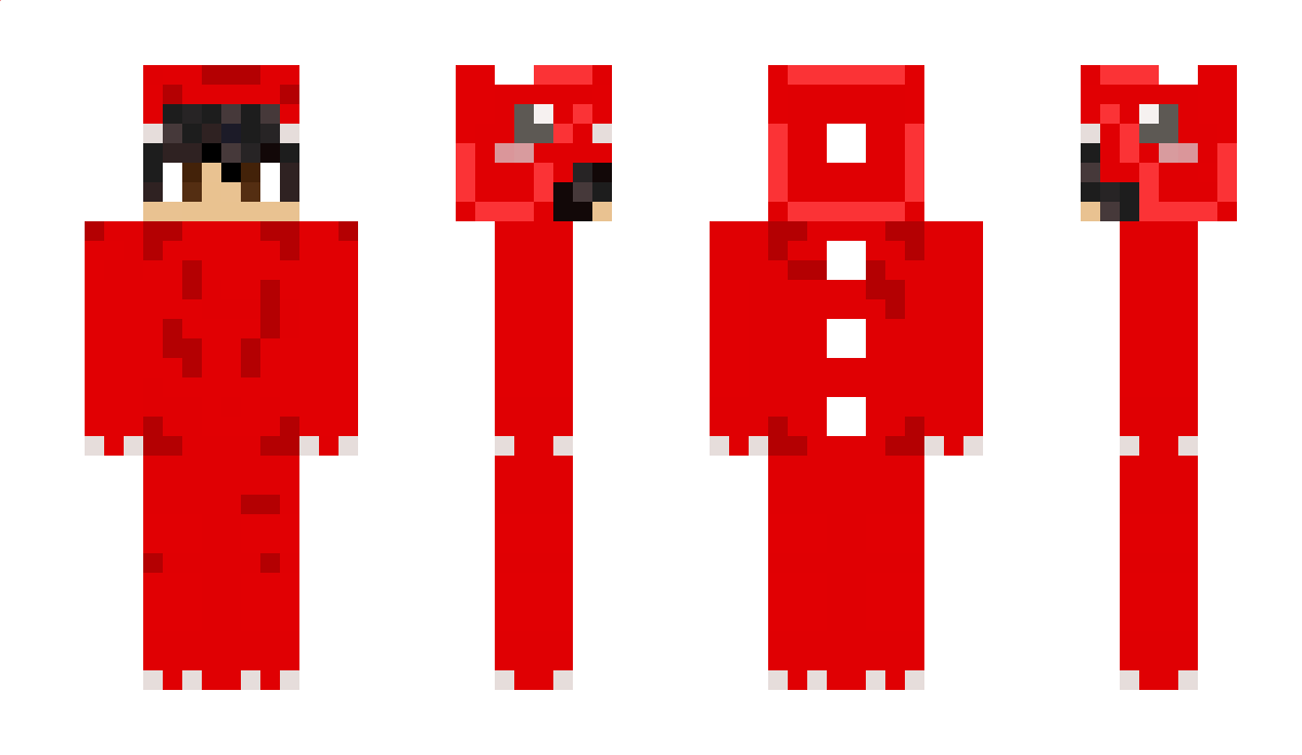 RoxyiscooI Minecraft Skin