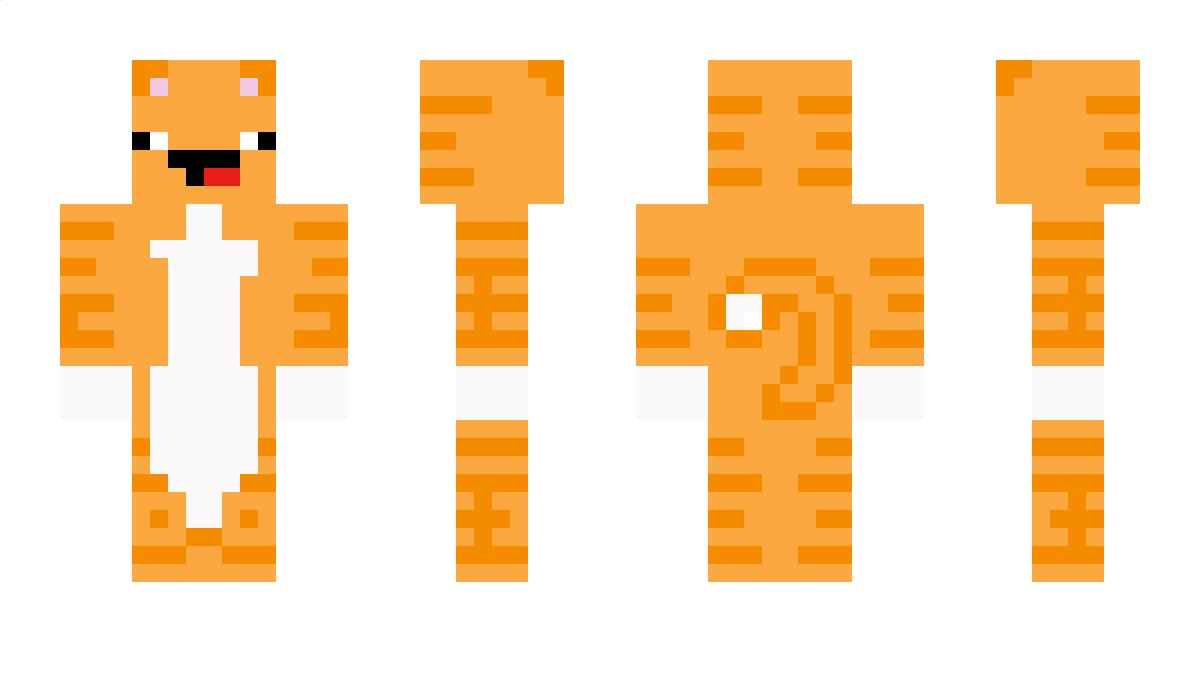 Austincat2 Minecraft Skin