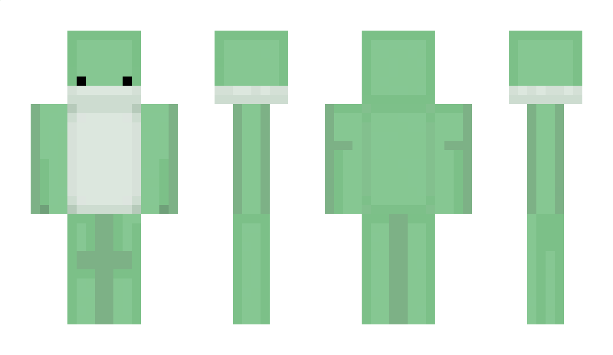 Pintrest Minecraft Skin