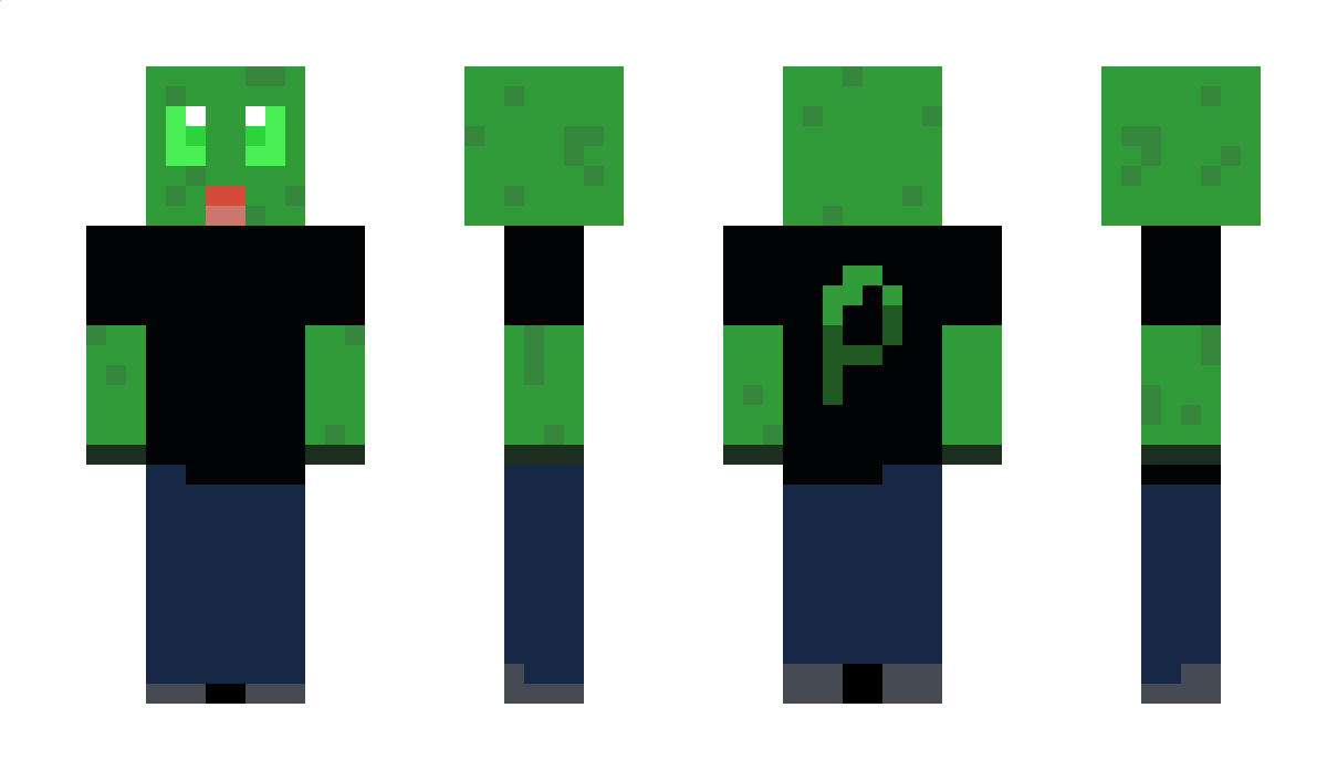 PopoteTT Minecraft Skin