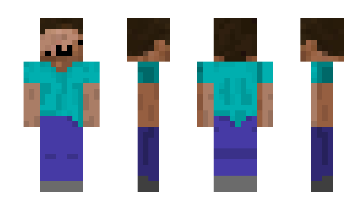 turtule Minecraft Skin