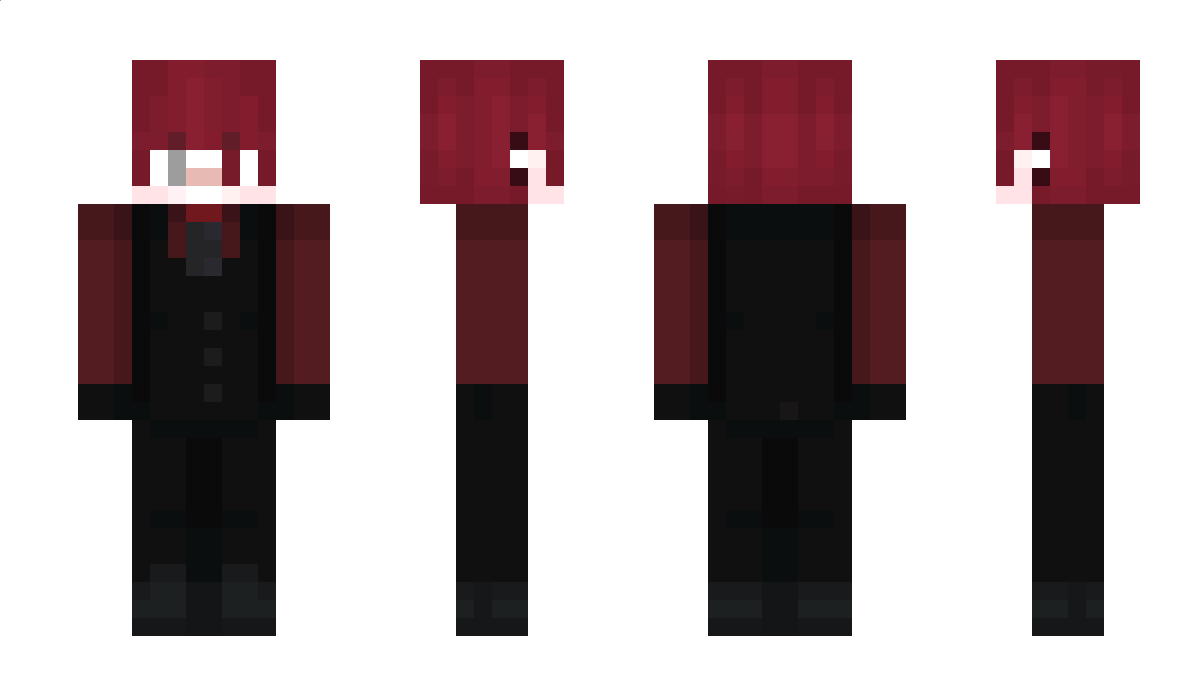 ErdNator Minecraft Skin