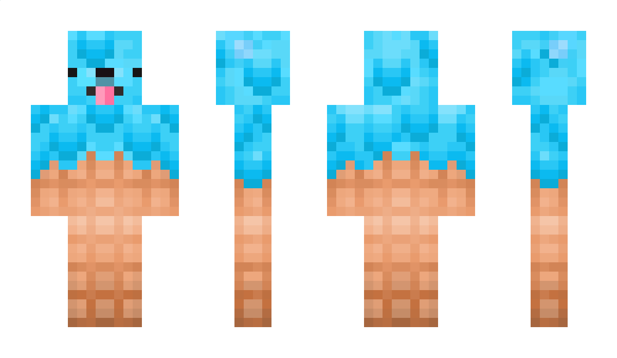 TurtleShelly Minecraft Skin