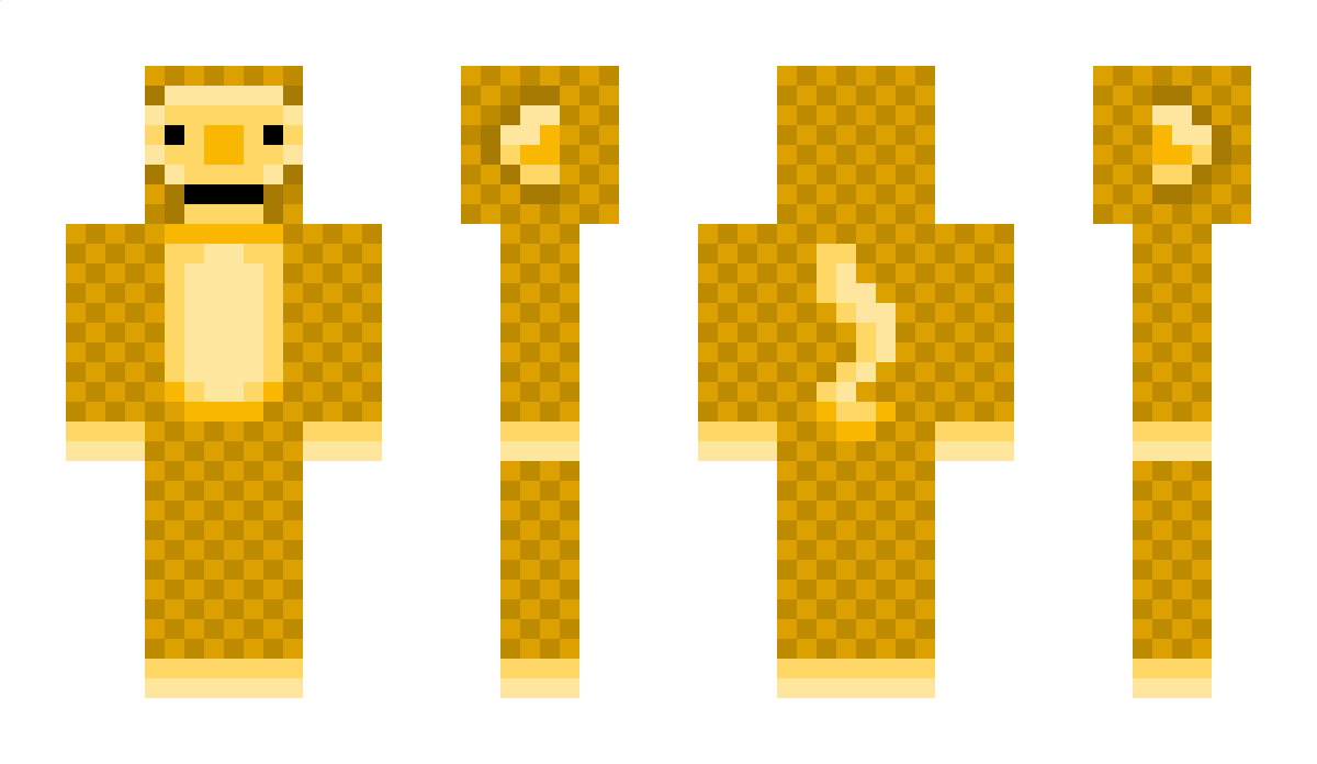 Aarjav17 Minecraft Skin