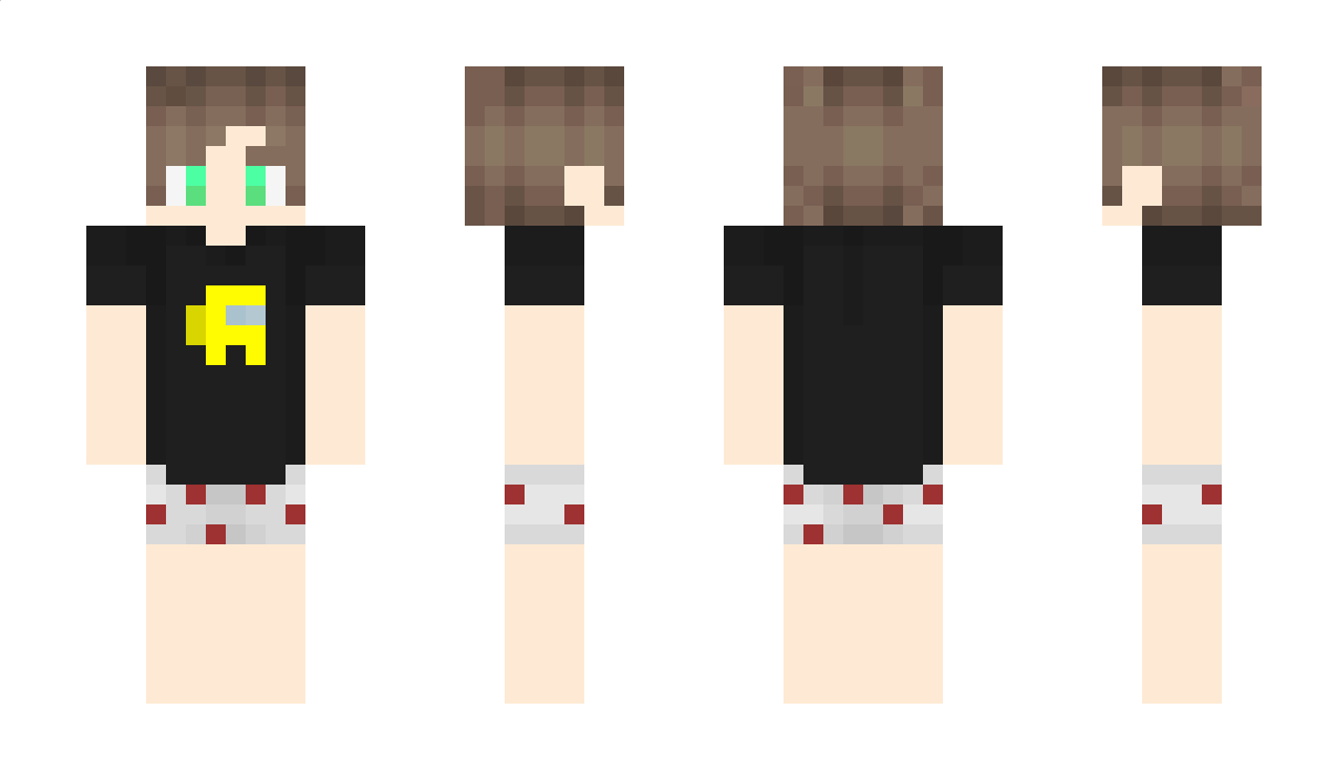 shenkong666 Minecraft Skin