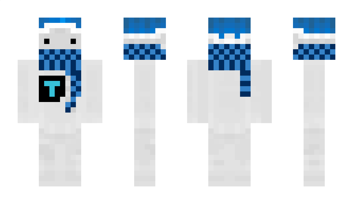 Tamet Minecraft Skin