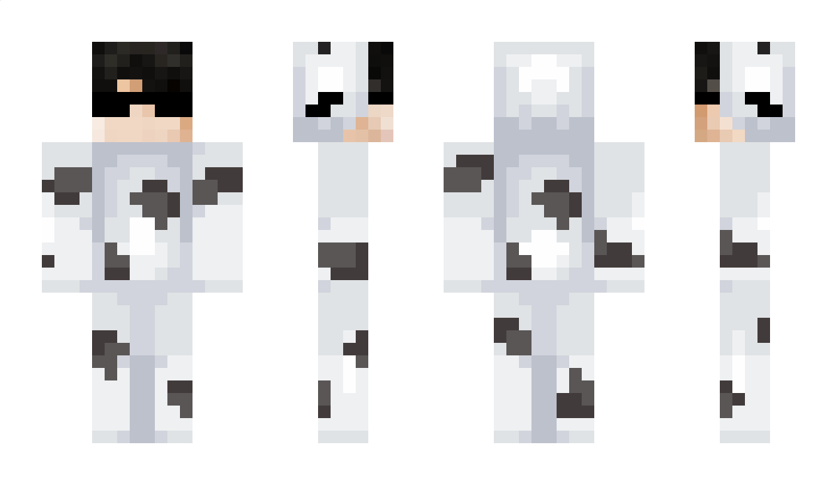 Snowvolox Minecraft Skin