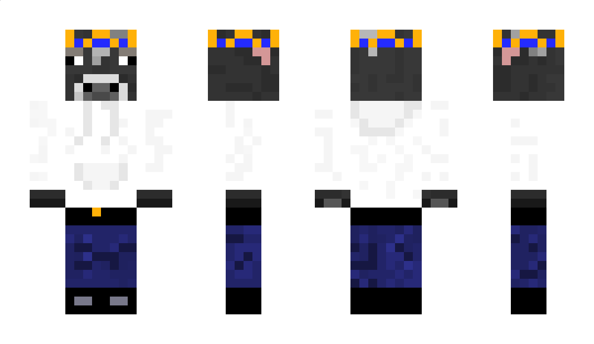 BattleCattle17 Minecraft Skin