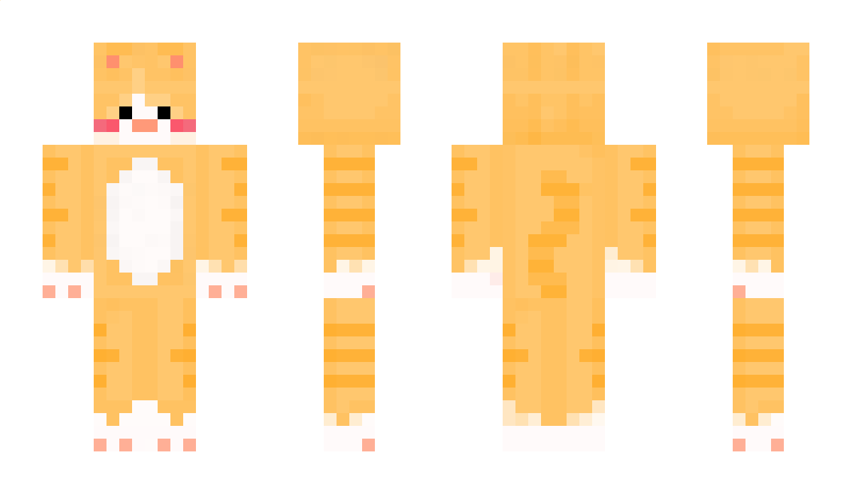 Deve1oper Minecraft Skin