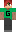 WurmGave Minecraft Skin