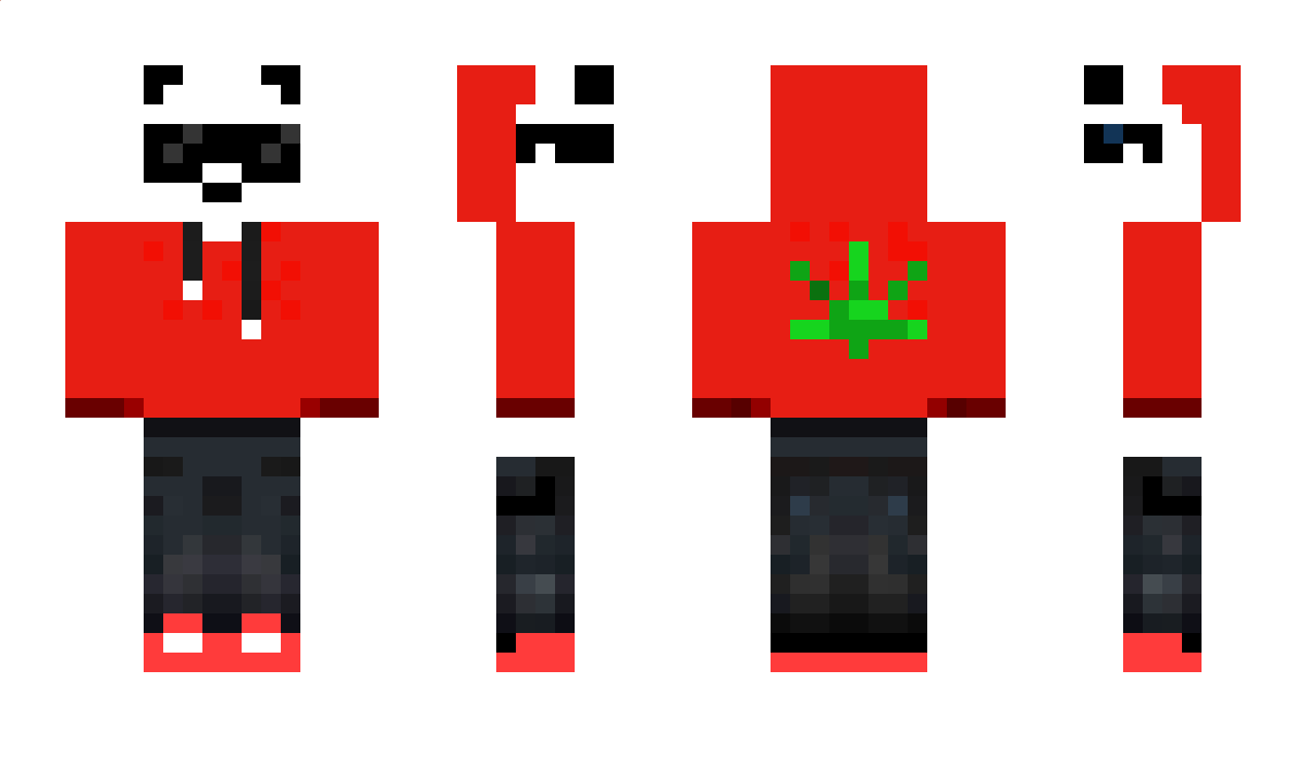 QuatroGamer Minecraft Skin