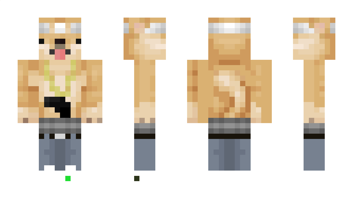 corega Minecraft Skin