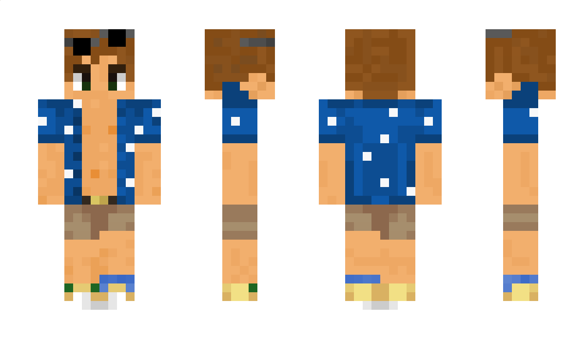 legolife53 Minecraft Skin