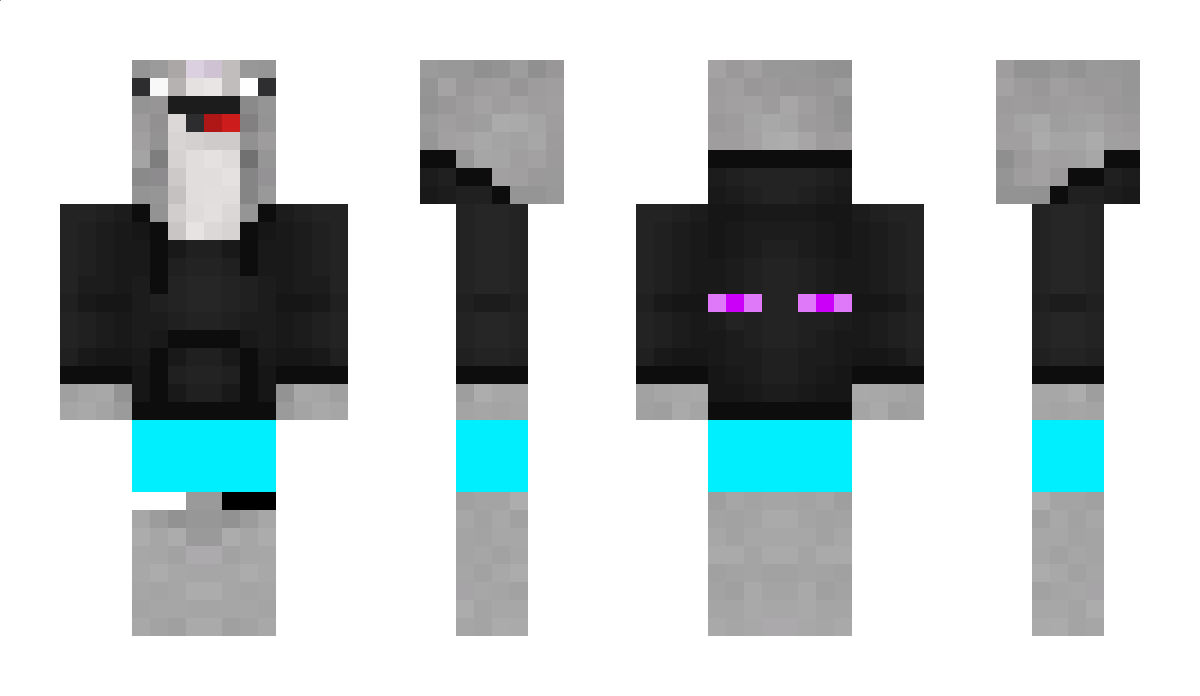 Tinoob Minecraft Skin