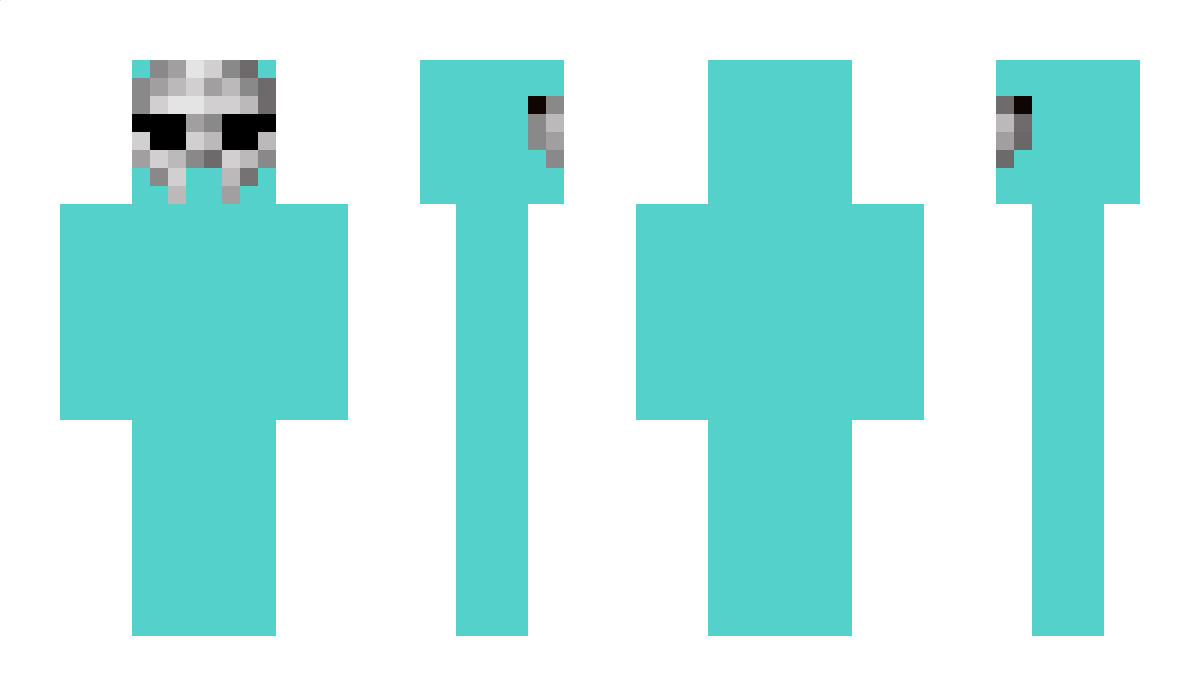 DM44 Minecraft Skin