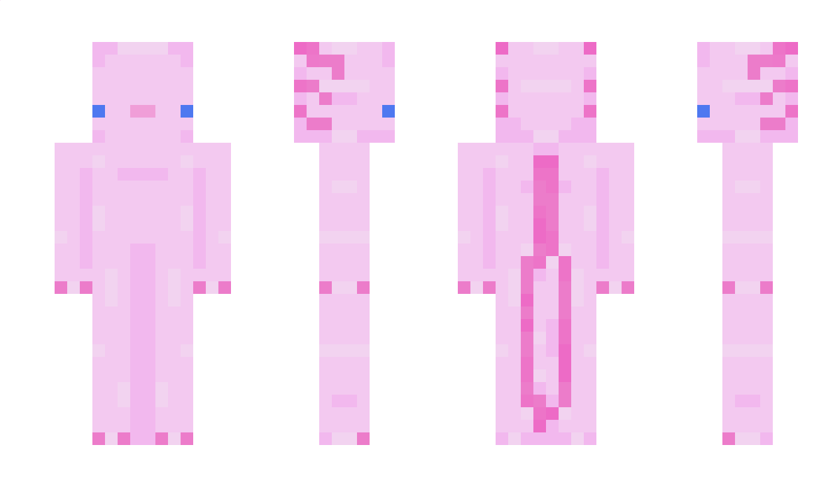 Gavriiii Minecraft Skin