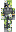 Flowerzz_mc Minecraft Skin