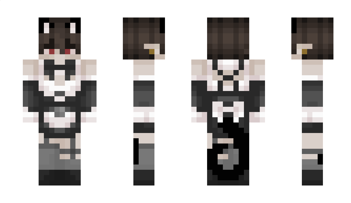 texas9 Minecraft Skin