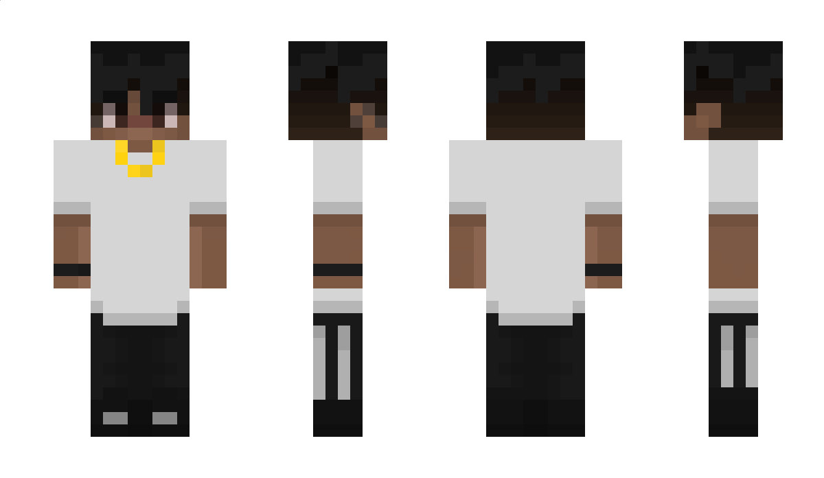 LaSalle Minecraft Skin