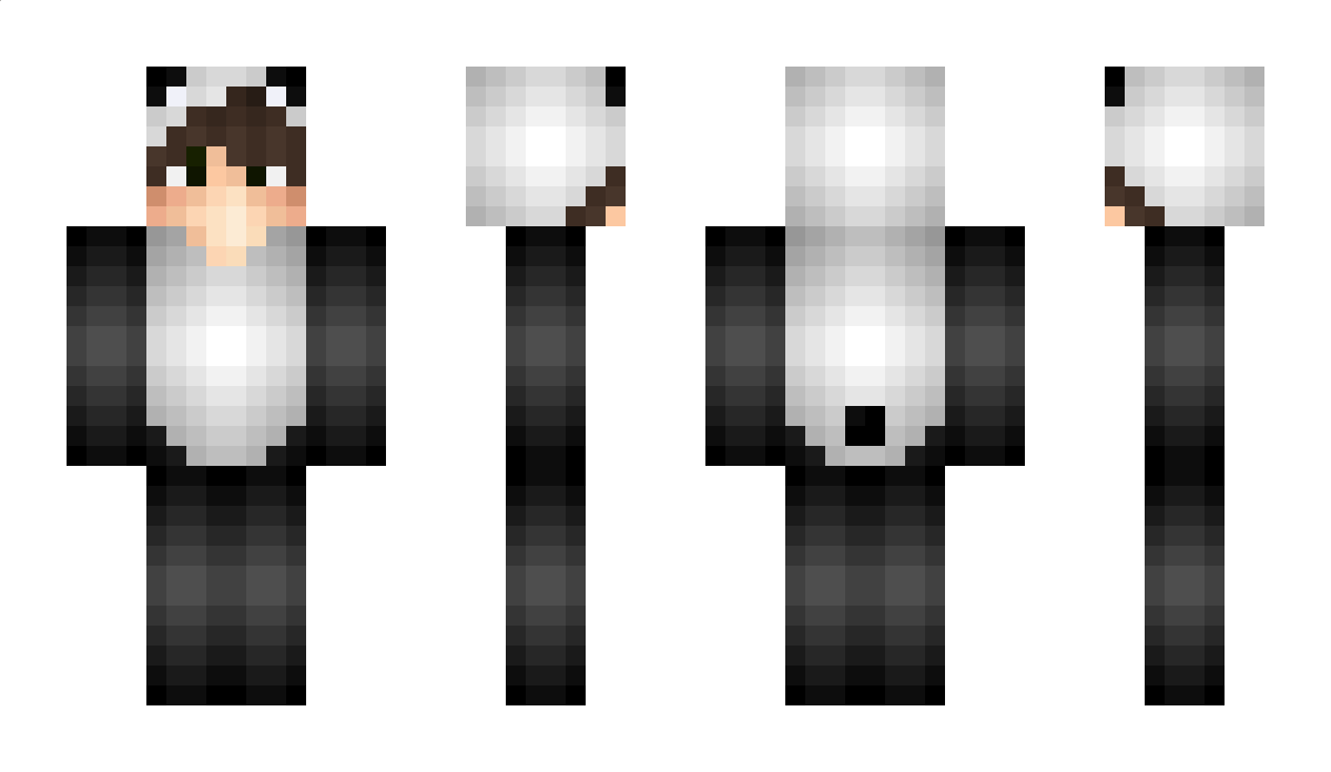 niconeuhaus Minecraft Skin