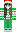 v_strid Minecraft Skin