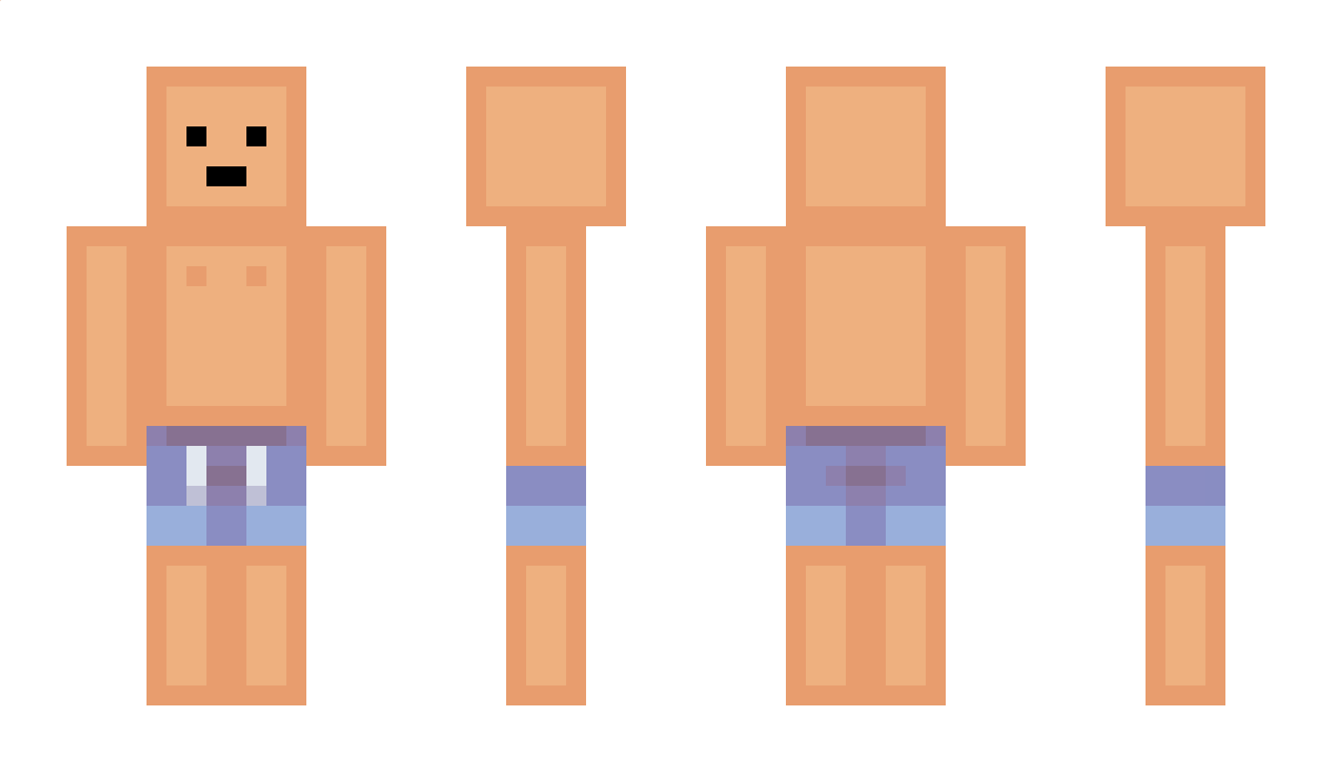 poritzenreiniger Minecraft Skin