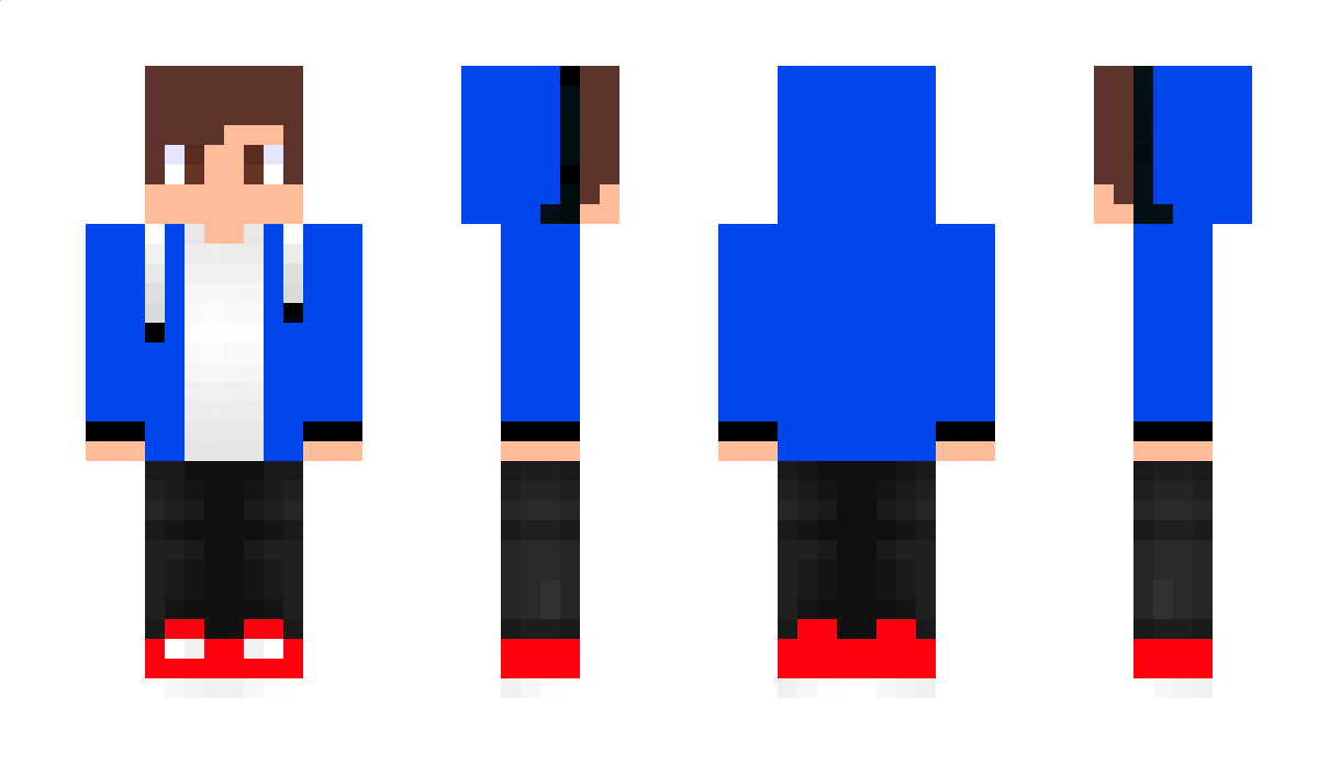 DN_Animation Minecraft Skin