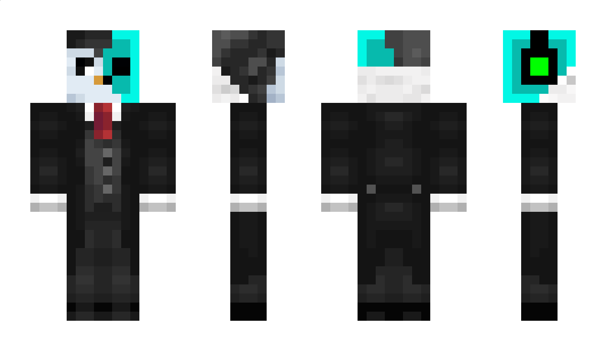 PinguCraft1301 Minecraft Skin