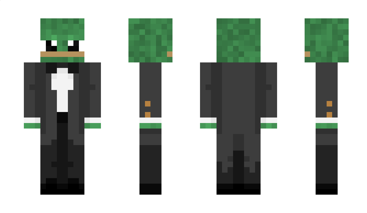 NPC123 Minecraft Skin