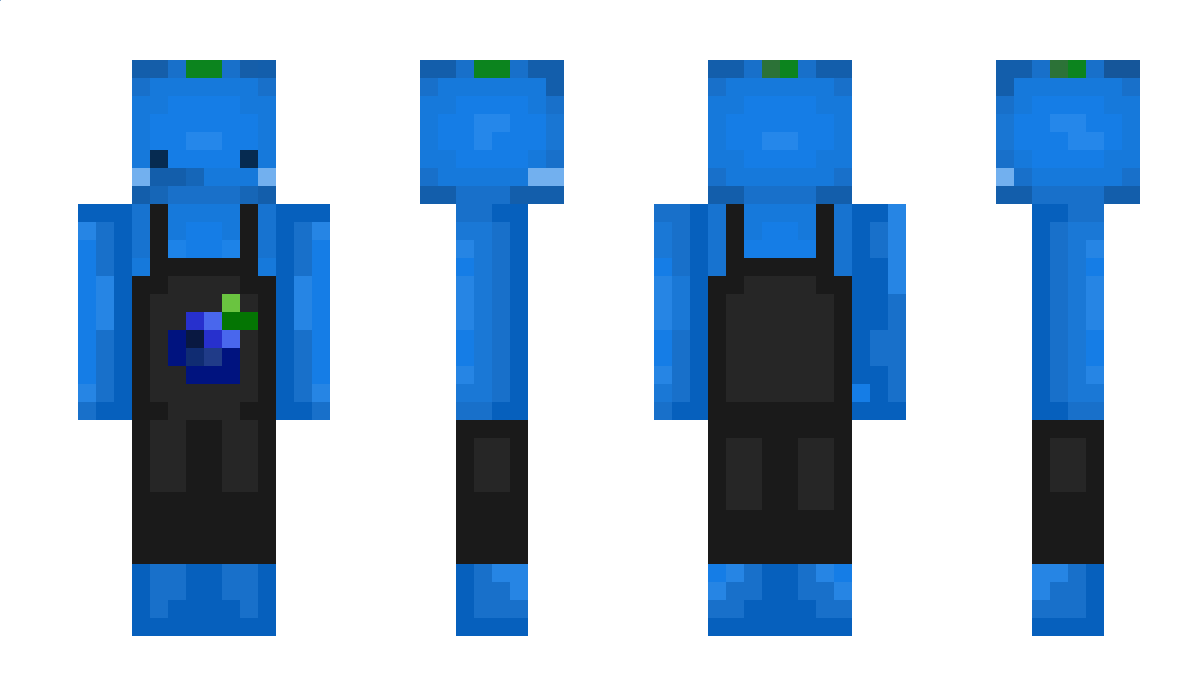 LilBlueberry Minecraft Skin