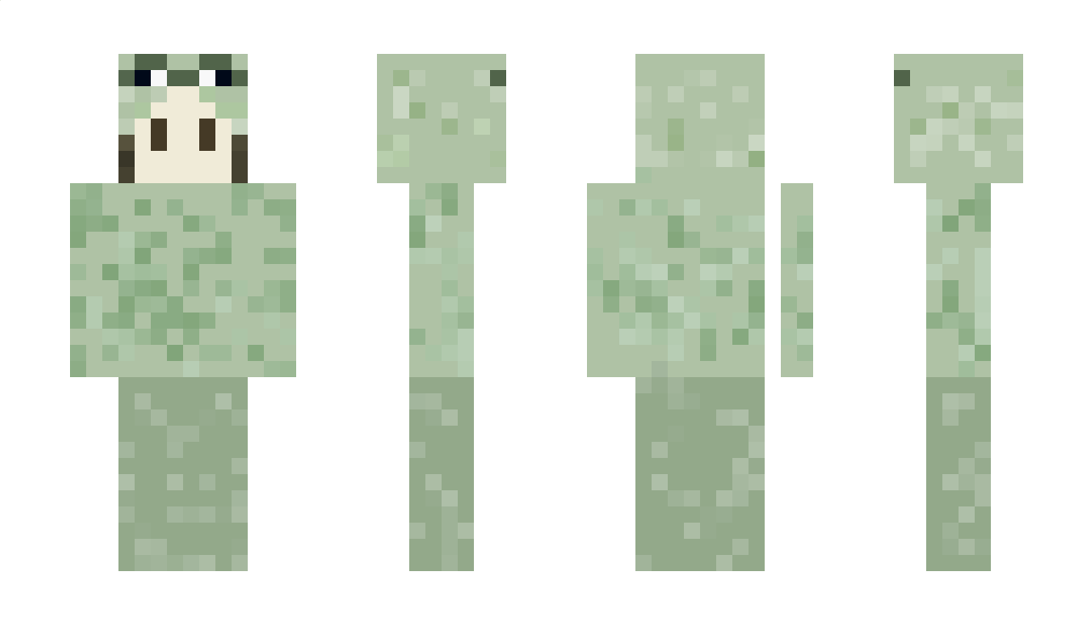 frowggy Minecraft Skin
