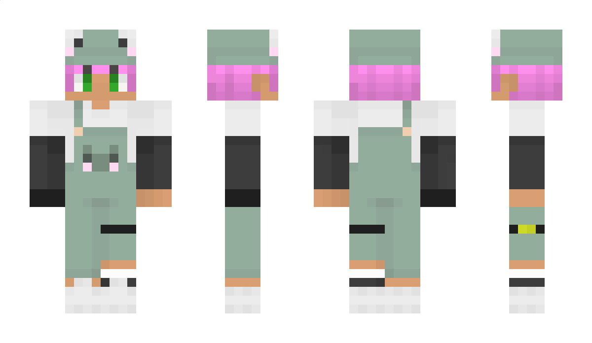 Ackermini Minecraft Skin