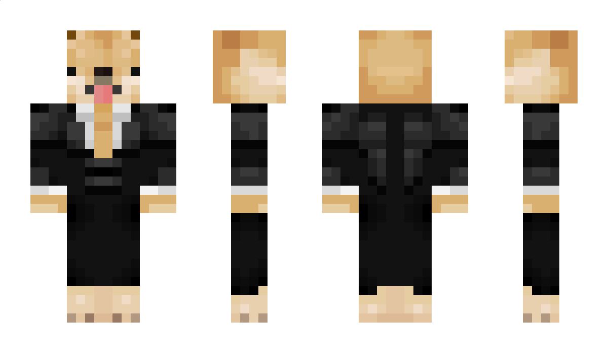 ZetMiDajek_ Minecraft Skin