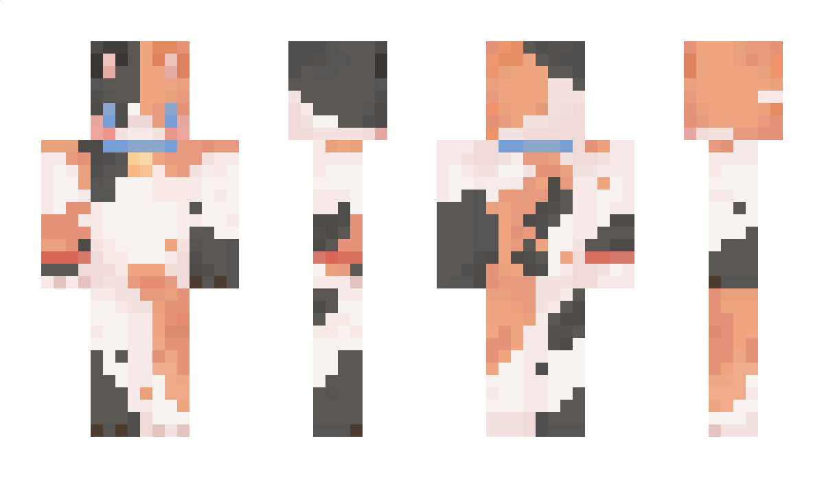 Regdhi27 Minecraft Skin