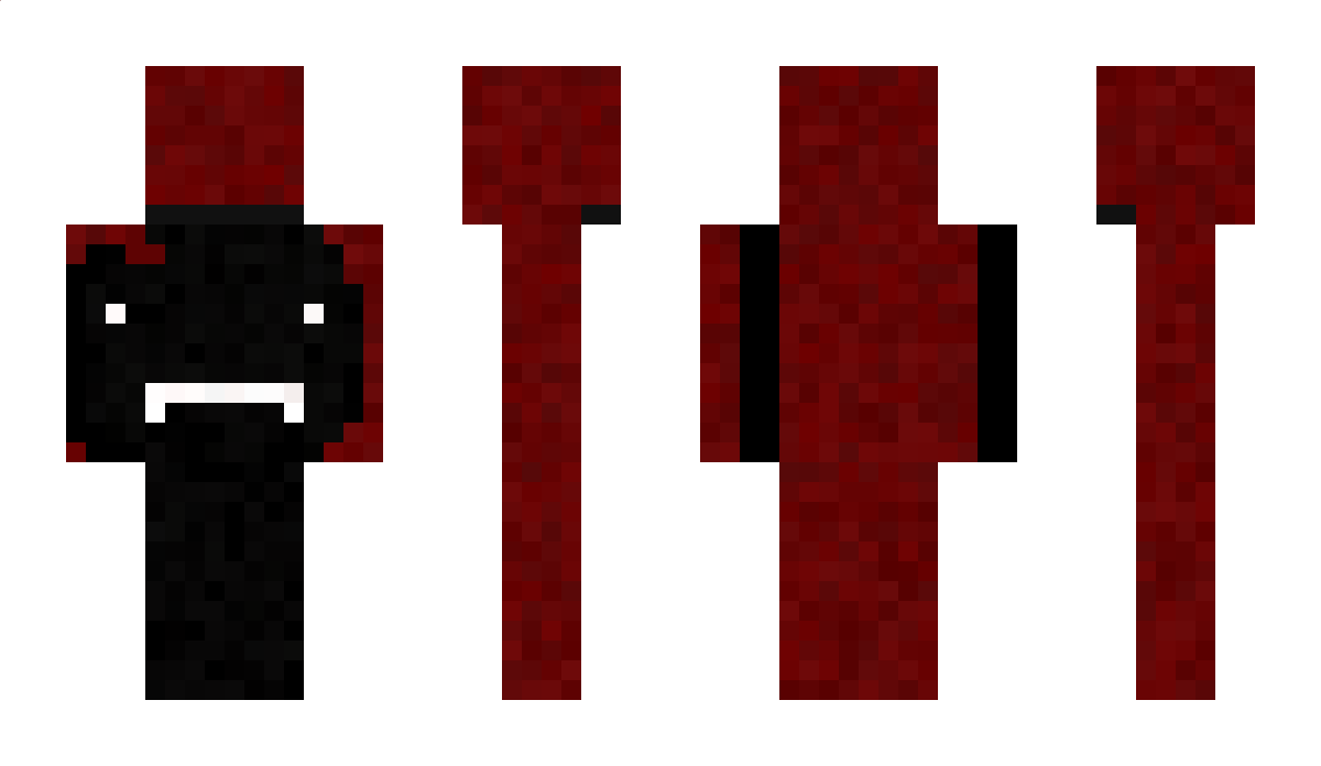 Aerodoit Minecraft Skin