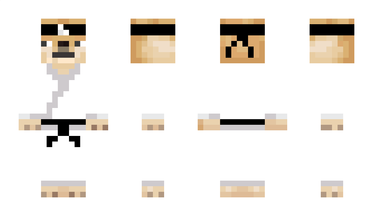 theotheduckking Minecraft Skin