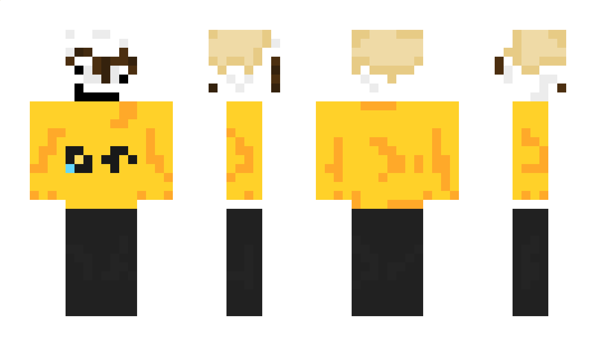 _Camerooni Minecraft Skin