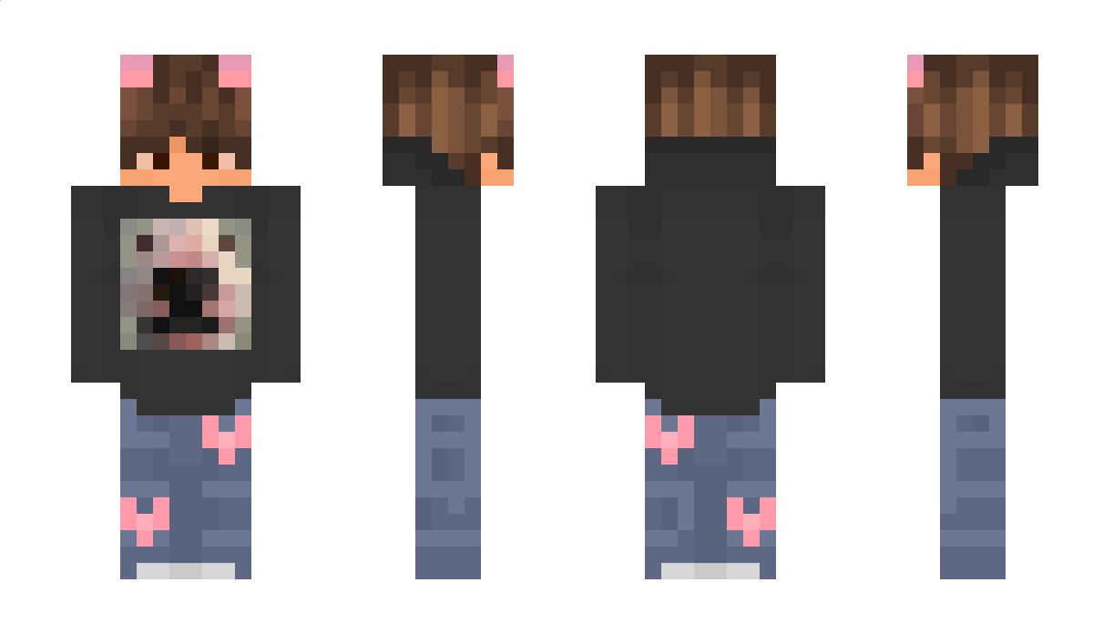 Nidilsalzi Minecraft Skin