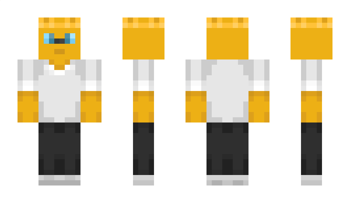 TheOcelot_276 Minecraft Skin