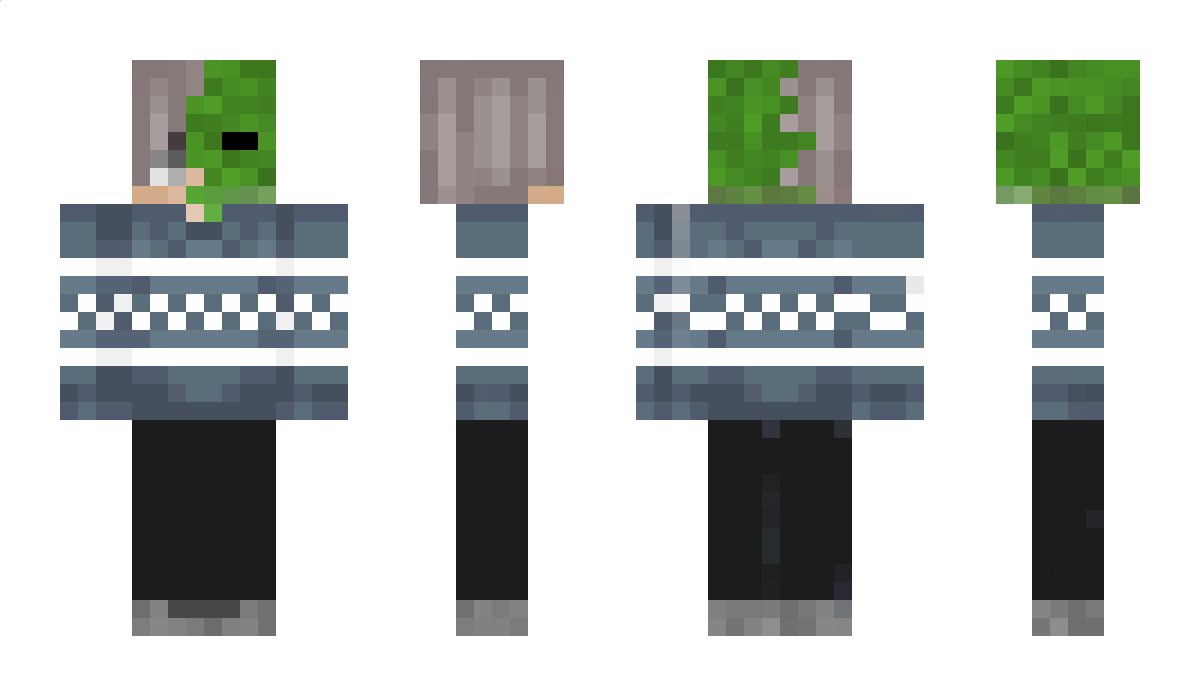 Trerrturyy Minecraft Skin