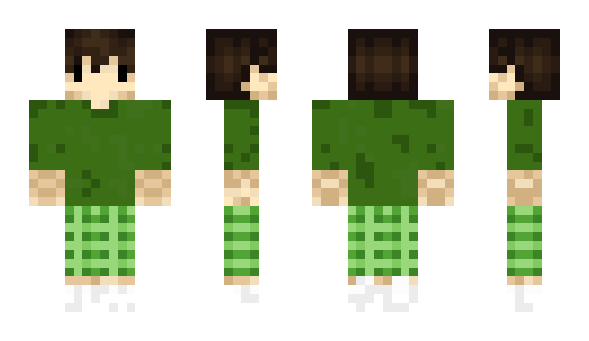 Domantas13 Minecraft Skin